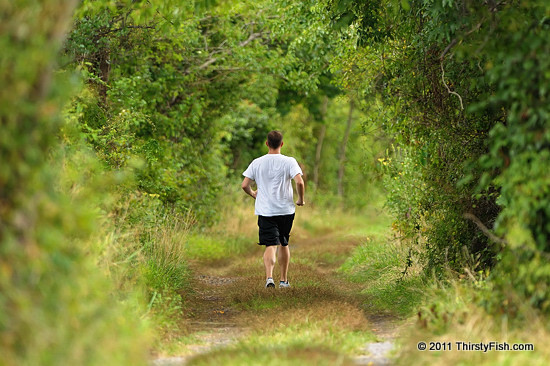 Into the Green