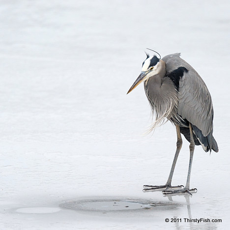 Ice Fishing