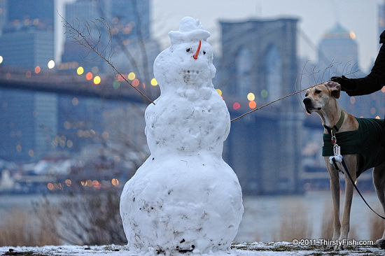 Making Sense of the Snowman