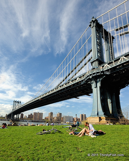 Manhattan Bridge - Impulse to Differentiate