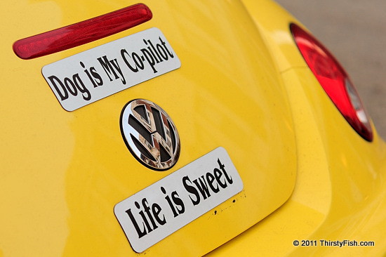 Life is Sweet