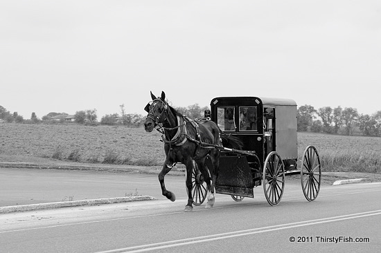 Amish Buggy - No Church Hopping?