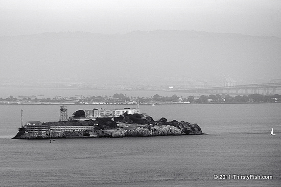 The Island of the Pelicans