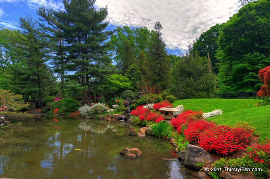 Japanese Garden