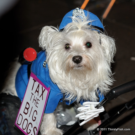Occupy Wall Street: Tax The Big Dogs
