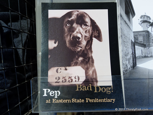 Pep, The Bad Dog!