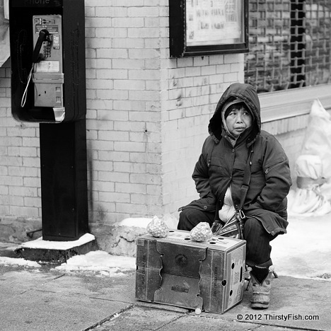 American Mosaic: Chinese Street Vendor