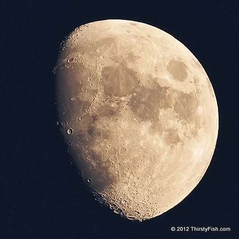 Waxing Gibbous - Vaniosity is Not Curiosity