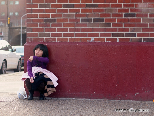 American Mosaic: Vietnamese Woman