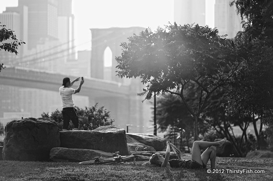 Basking Under The Setting Sun