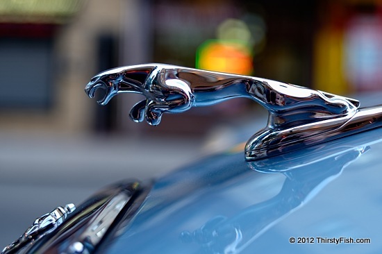 Jaguar