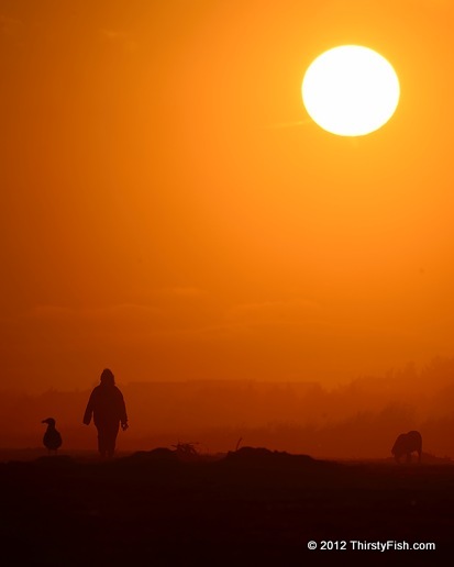 Barnegat Light; Gull, Woman, Dog