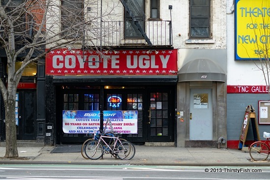 (The Real) Coyote Ugly - The Perfect Woman