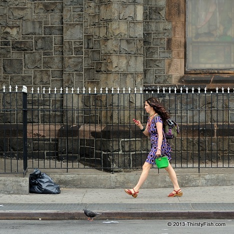 Walking with Pigeon Friend - Hedonic Treadmill