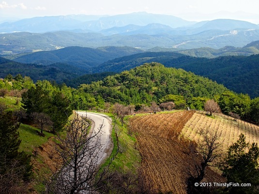 Menderes Mountain Vineyards