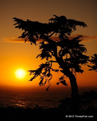 Pacific Sunset