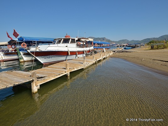 Iztuzu Back to Dalyan