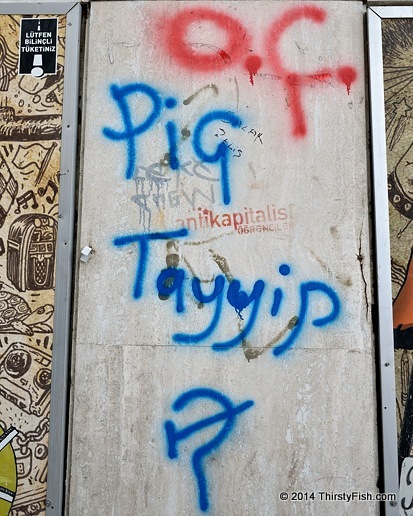 Occupy Turkey: S.O.B. Tayyip