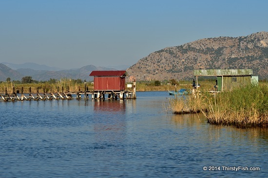 Dalyan Weir