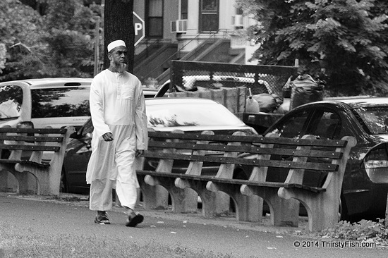 American Mosaic: Pakistani Man