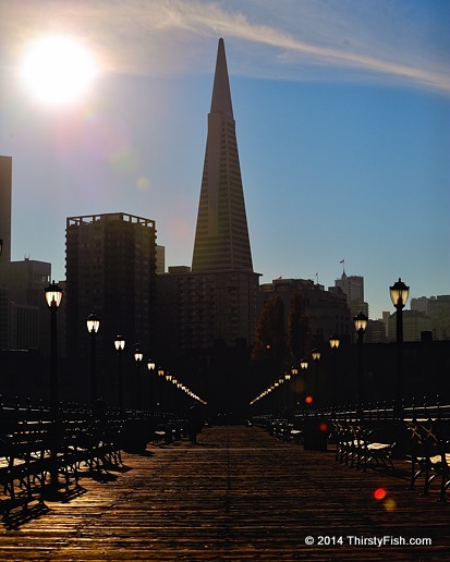 Transamerica Pyramid