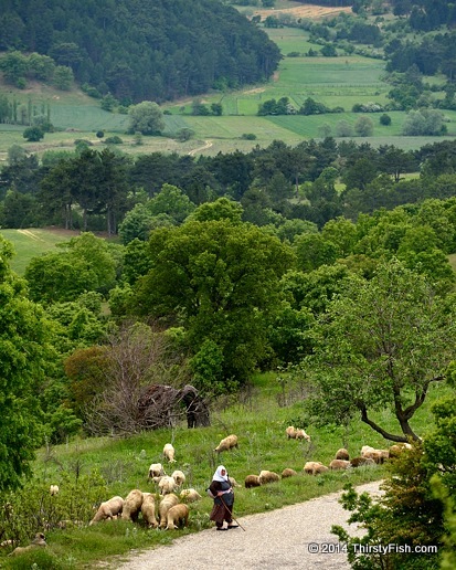 Shepherd Woman