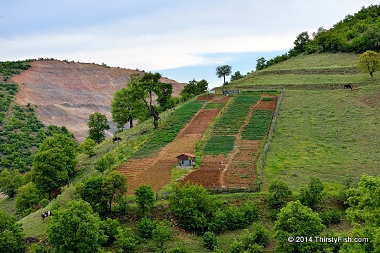 Little Farm in the Simav Mountains