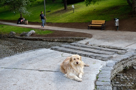 Segmenler Park, Ankara