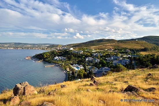 Hidden Bay, Cesmealti