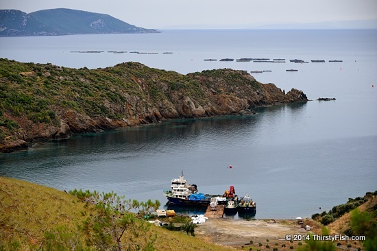 Kucukbahce Fishing Boats and Fish Farms