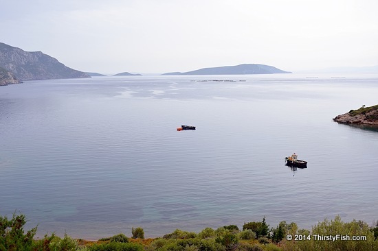 Kucukbahce Fisheries and Martians