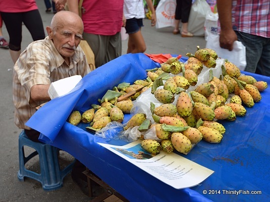 Indian Figs - Ethnicity vs Culture