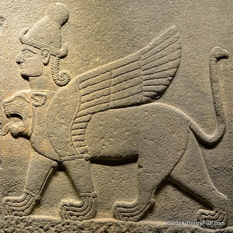 The Chimera