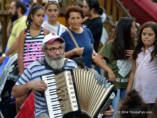 Ankara Accordion Player 