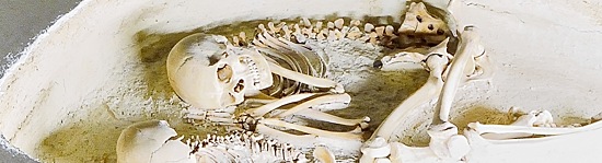 Neolithic Detail