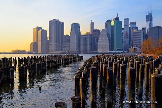 The Financial District of Lower Manhattan