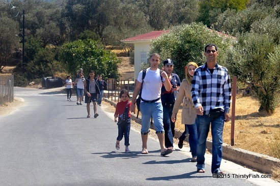 The Walk To Freedom?