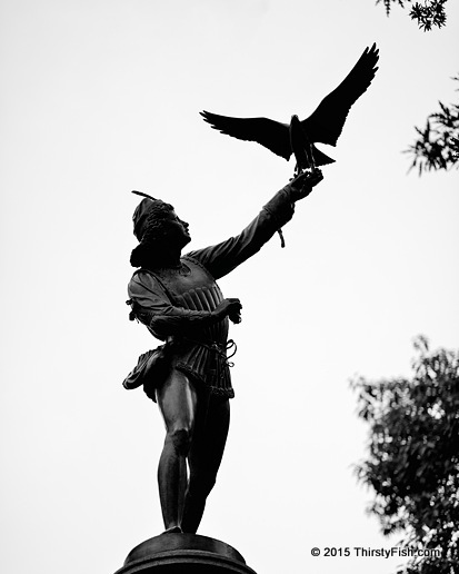 The Falconer