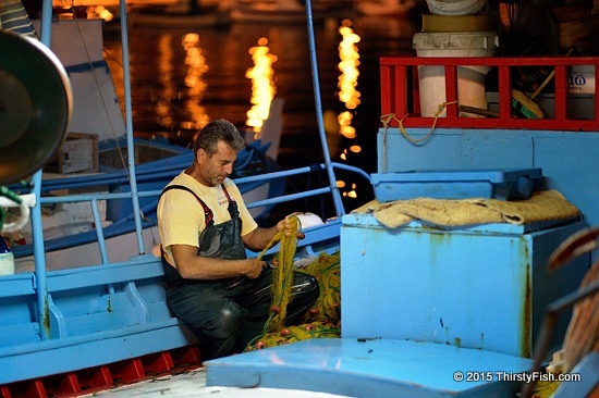 Untangling The Net