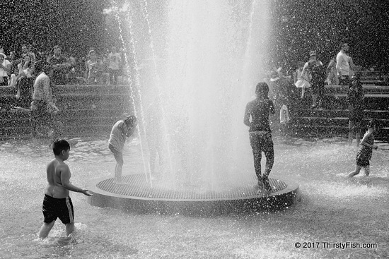 The Fountain of Youth